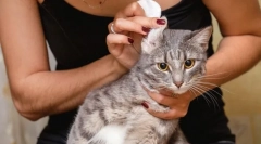 Cum să vă curățați urechile?